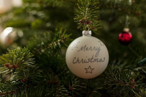 A closeup shot of a Christmas tree circle ornament
