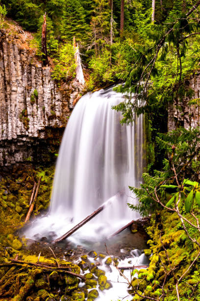 istock Vertical shot of a babbling waterfall in rocks 1454143644