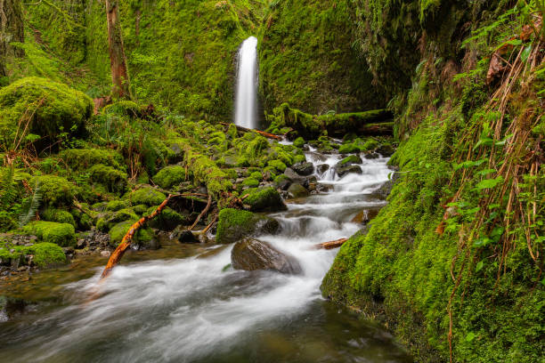istock Closeup of Mossy Waterfall 1454144392