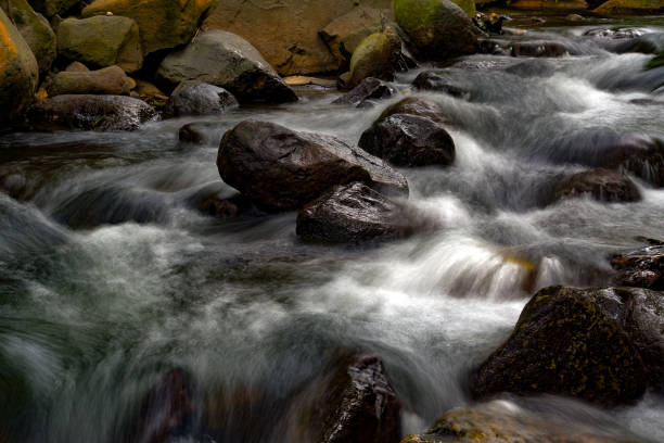 istock river water stream with rocks flowing from the forest 1454144935