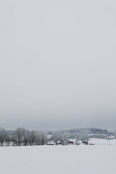 wiejski piękny zimowy krajobraz. scena pozamiejska. nowy rok, boże narodzenie. malowniczy widok na okolicę w mroźny zimowy dzień - non rural scene zdjęcia i obrazy z banku zdjęć