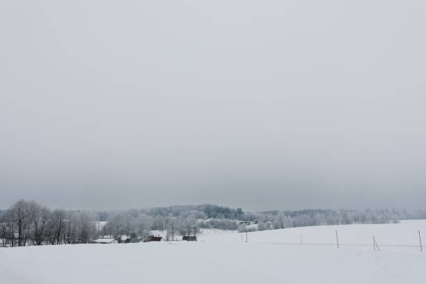 ländlich schöne winterlandschaft. nicht-urbane szene. neujahr, weihnachten. malerische aussicht auf die landschaft an einem frostigen wintertag - winter snow non urban scene house stock-fotos und bilder