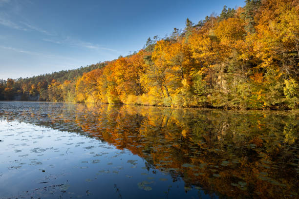 istock Colorful autumn at lake 1454146902