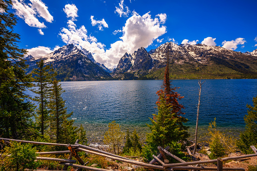 Jenny Lake and Grand Teton Mountains in Wyoming, USA, with forest pine trees in the foreground.