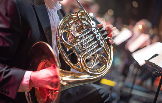 musician in the orchestra plays the horn