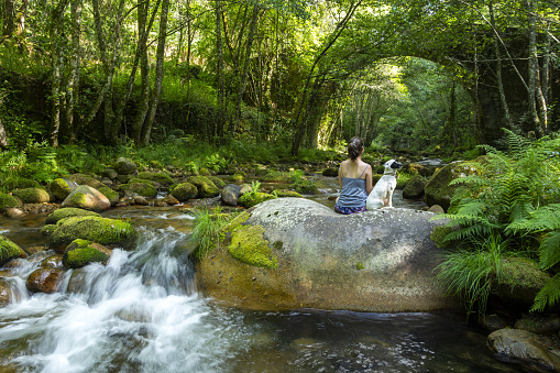 A female with her dog sitting on a rock by the river in the forest