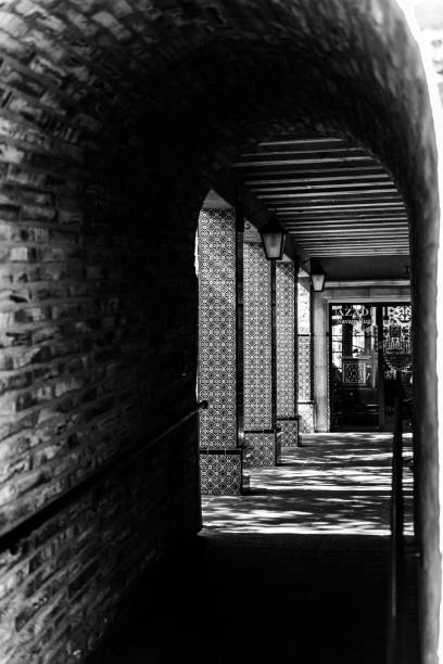 istock Vertical grayscale of an old tunnel with mosaic columns 1454157664
