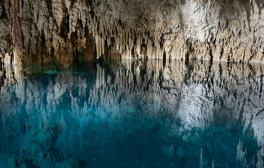 Beautiful cenote in Tulum, Cancun, Valadolid area. Natural sinkhole with crystal clear ground water