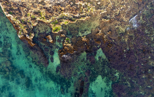 istock Clear sea on the rocky bottom 1454165298