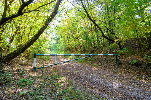 Photography on theme beautiful footpath in wild foliage woodland, photo consisting of rural footpath to wild foliage woodland without people, footpath at wild foliage woodland this is natural nature