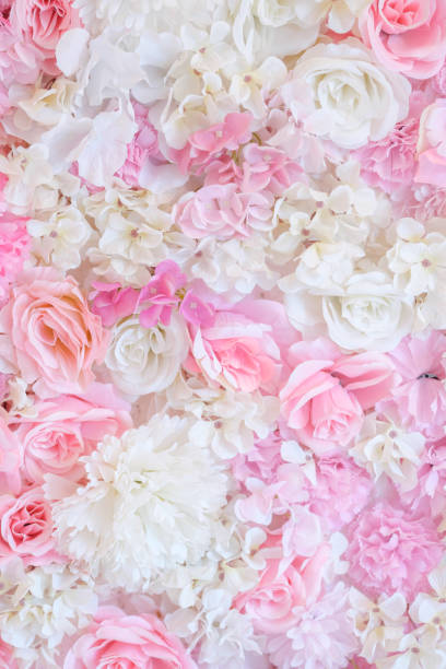 istock Pink rose flower on background for valentine 1454169973