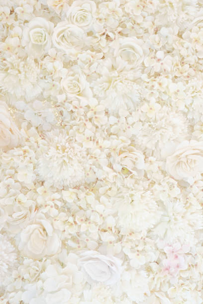 istock White roses floral background 1454170101