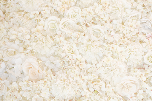 Delicate blooming festive roses and white flowers background