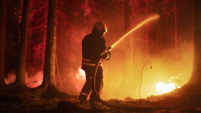 Portrait from the Back of a Professional Firefighter Methodically Extinguishing a Forest Fire with the Help of a Fire Hose. Firemen Team Rescuing Wildland from Uncontrollable Brushfire.
