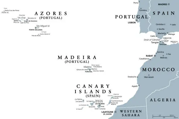 Vector illustration of Azores, Madeira, and Canary Islands, autonomous regions, gray political map