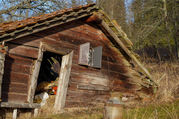 istock Low angle view of old abandoned house in forest 1454171260