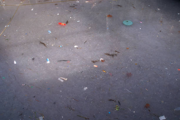 istock sea pollution and jellyfish infestation 1454172316