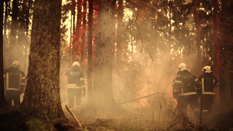 Professional Firefighters Crew Walking in a Smoke-Filled Forest, Controlling a Wildland Fire Before it Spreads. First Responders Arrive at the Abandoned Outdoors Site with Overgrown Campfire.