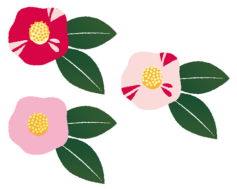 Imágenes prediseñadas de flor colores vector gratis Imágenes prediseñadas de flor colores vector gratis