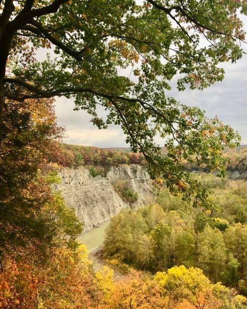 istock Letchworth State Park, New York, USA 1454187989