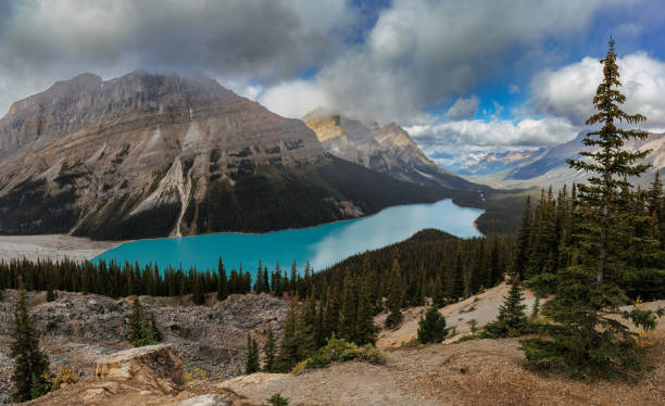 istock Peyto Lake in Canada 1454189263