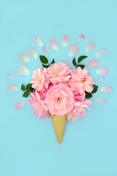 istock Surreal Summer Pink Rose Flower Ice Cream Cone 1454189839