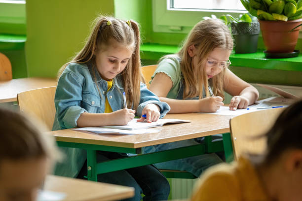 istock Schoolgirls learning together in the classroom 1454191471