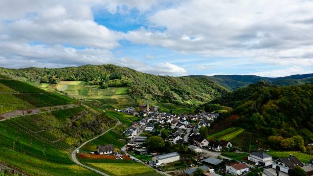 istock Wine-growing area at the river Ahr, Ahr valley 1454193461