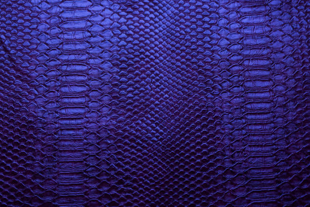 istock blue skin leather texture for background 1454195268