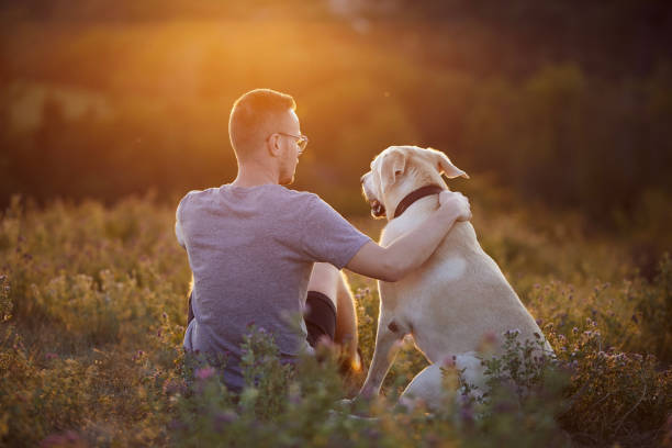 istock Man with dog on meadow at sunset 1454195880