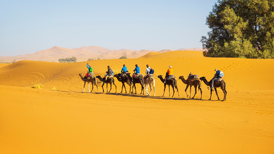 Abu Dhabi, United Arab Emirates - December 24, 2016: Emirati men riding camels at the Sheikh Zayed Heritage Festival 2016 at Al Wathba, Abu Dhabi