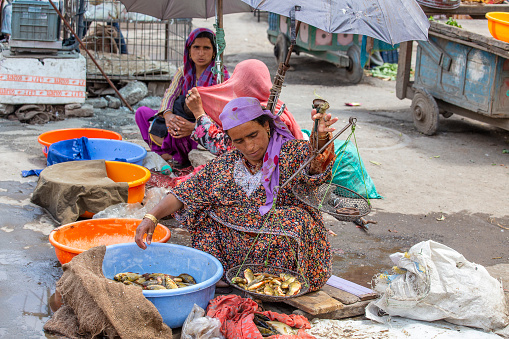 Srinagar, India - july 02, 2015 : Indian woman working at fish street market in Srinagar, Jammu and Kashmir state, India
