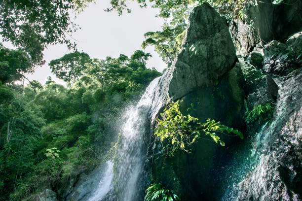 Mesmerizing view of a beautiful waterfall in Caribbean Island Tobago, Trinidad A mesmerizing view of a beautiful waterfall in Caribbean Island Tobago, Trinidad trinidad tobago map stock pictures, royalty-free photos & images
