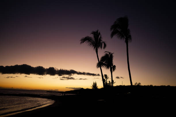istock Sunset at Poipu 'Monk Seal