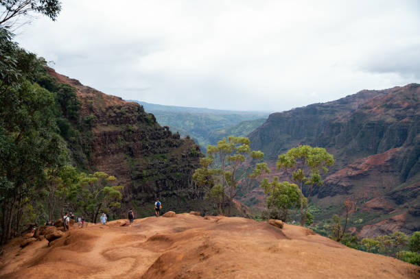 waimea canyon state park on kauai, hawaii - waimea canyon state park imagens e fotografias de stock