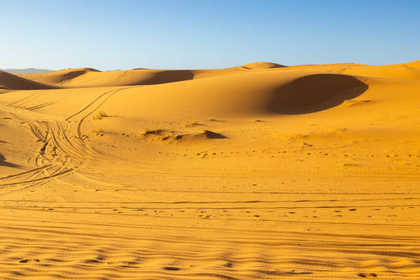 istock Sand dunes in desert, Merzouga, Erg Chebbi, Sahara, Morocco 1454199160