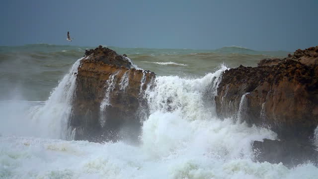 Stormy ocean seabird and cliffs