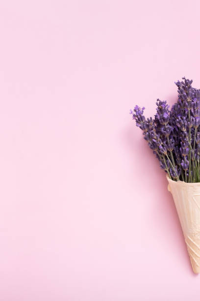 istock Lavender flowers bouquet in a waffle cone on a pink background. Minimal summer or spring concept 1454203038