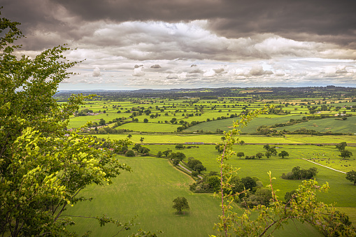Lush summer fields and rural views in England, /24Dorset/Devon border