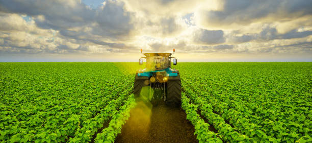 Tractor on soybean field at sunset, 3d render stock photo