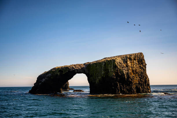 istock Sea Stack Arch On The Point of Anacapa Island 1454205286