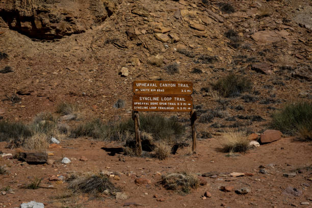 istock Sign for Upheaval Canyon and Syncline Loop Trails 1454205417