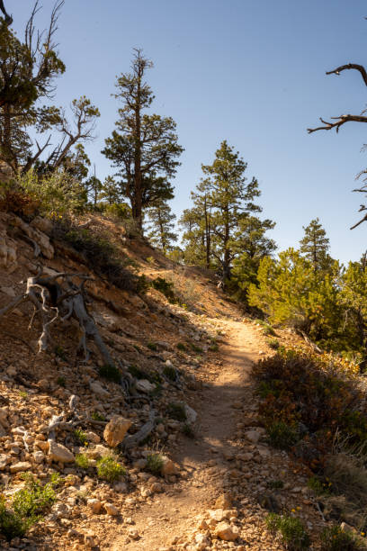 istock Trail Heads Uphill on hot day in Bryce Canyon 1454206411