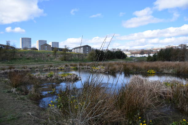 istock St Fitticks Park Aberdeen 1454208448