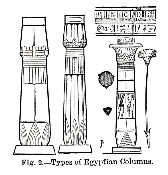 ilustraciones, imágenes clip art, dibujos animados e iconos de stock de tipos de columnas egipcias - egypt egyptian culture column ancient egyptian culture