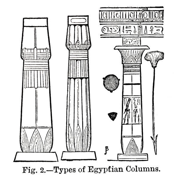 Types of Egyptian Columns Types of Egyptian Columns from out-of-copyright 1898 book "Blackie's Modern Cyclopedia of Universal Information". ancient egyptian art stock illustrations