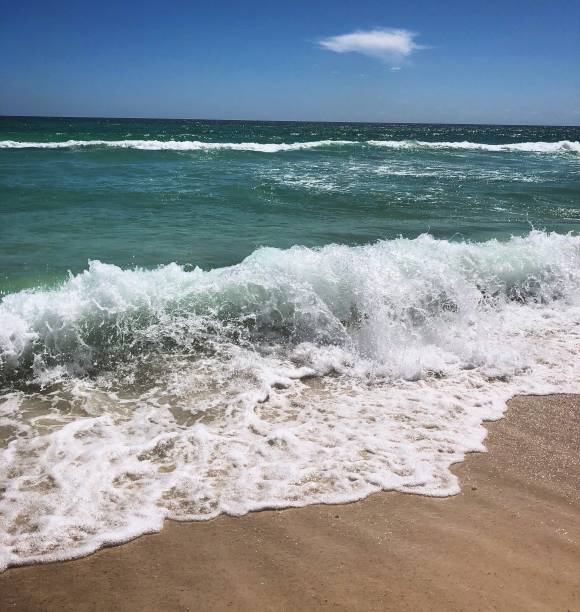 Panama City Beach is a popular tourist destination in Florida. There are white sandy beaches, clear blue skies, and gorgeous ocean waves. It's got everything!