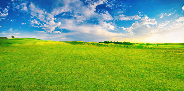 Panoramic image of a beautiful summer natural landscape of a large pasture with young fresh green grass and blue sky with clouds at sunset.