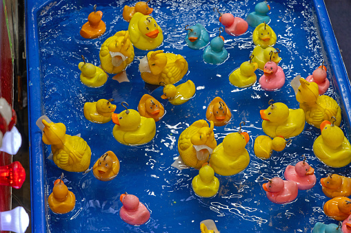 Yellow ducks floating in a swimming pool