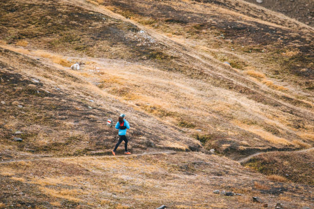istock Distant view of cross-country runner on mountain trail 1454215230